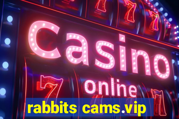 rabbits cams.vip